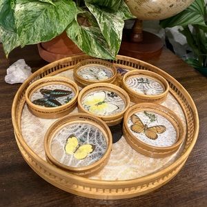 Vintage Butterfly Coasters